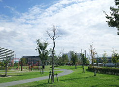 松原団地記念公園