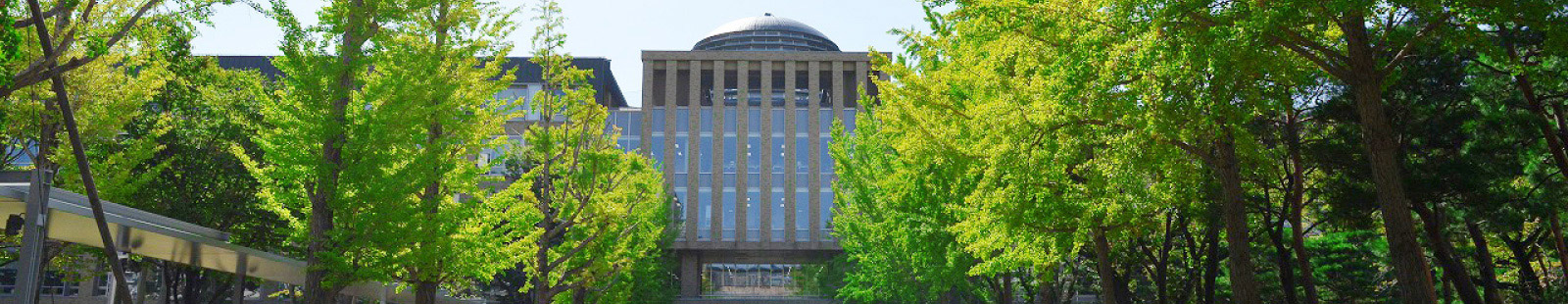 獨協大学の風景