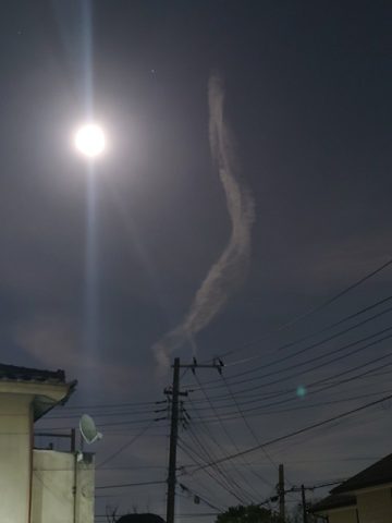 上り龍