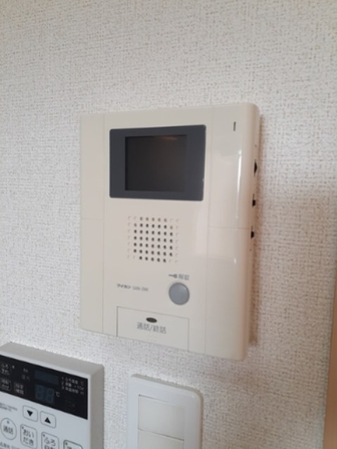 プラシード セキュリティ