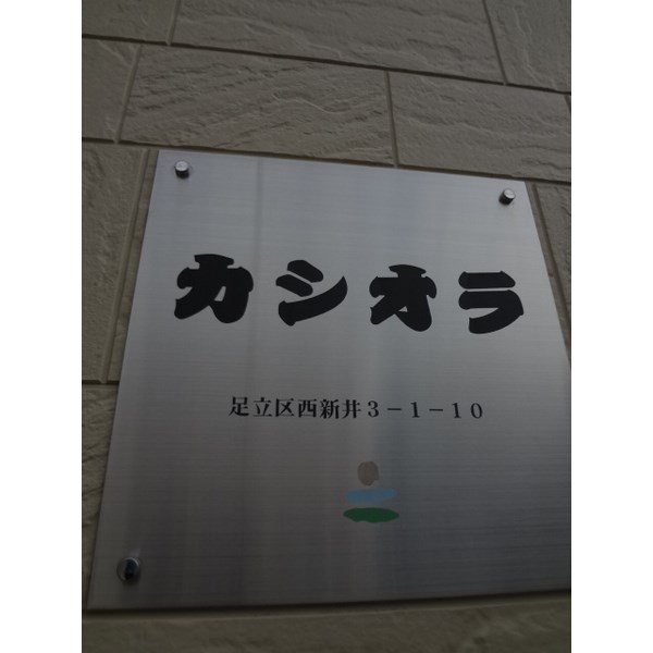 カシオラ その他