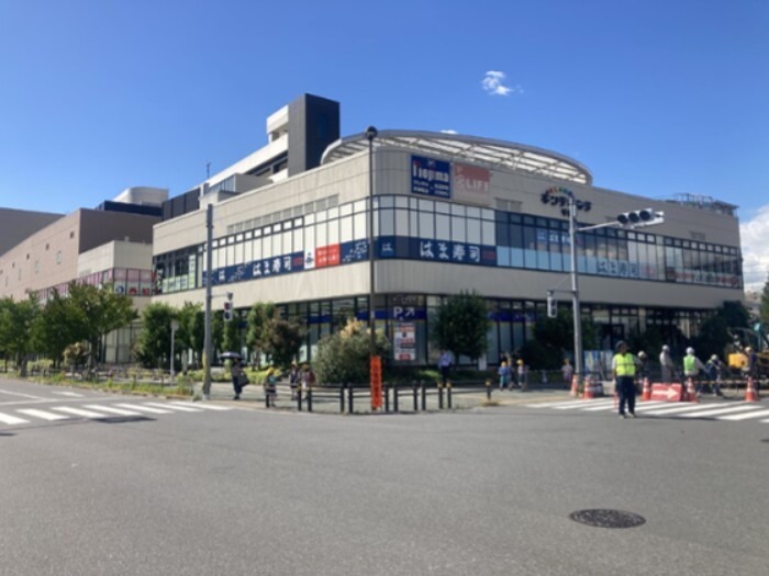 アヴァンス千住緑町 地図（共通）