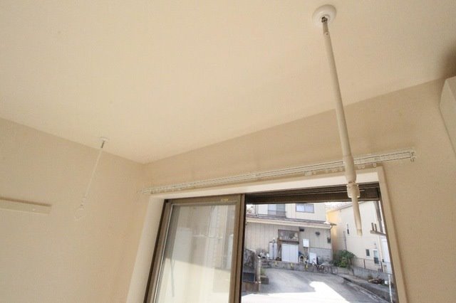 アイリス　サワー その他