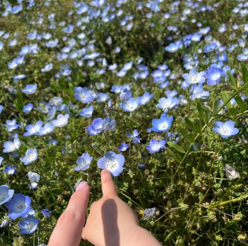 GW休暇🌷🌷🌷