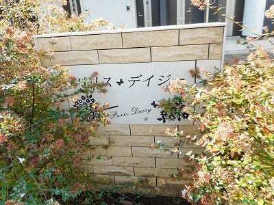 パリス・デイジー その他
