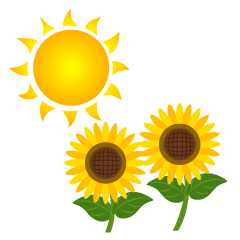 もう８月🌻