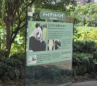 もうすぐ帰ってしまうので！