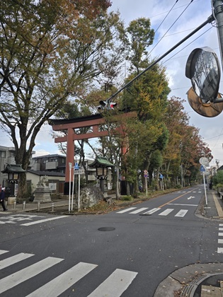 もう秋ですね🍁