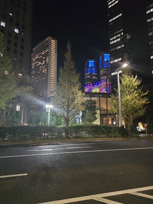 １２月を感じます