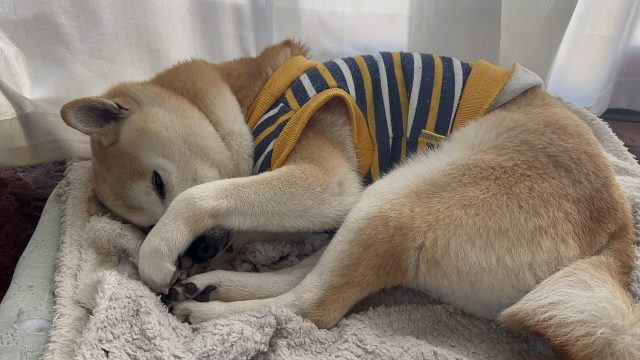 寒くなってきましたね！