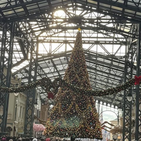 クリスマスディズニー！