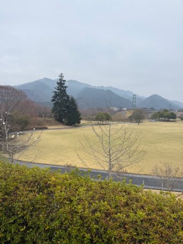 　癒しチャージ完了！自然いっぱいの公園へ🌿